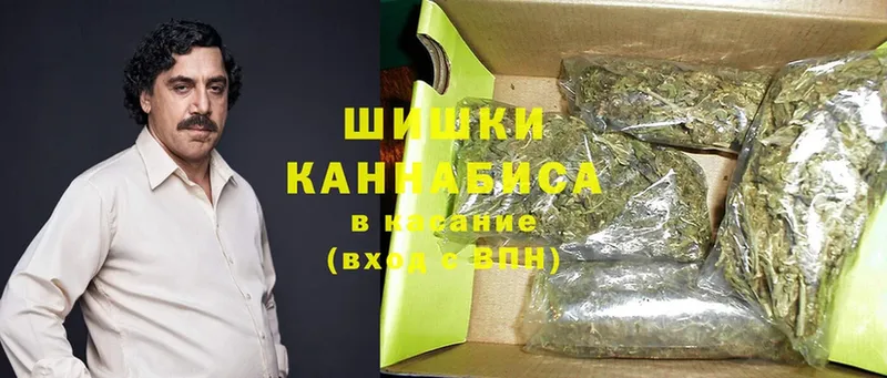 Конопля OG Kush  Фёдоровский 